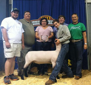 Cox Club Lambs & Livestock - Winner