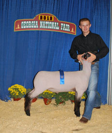 Cox Club Lambs & Livestock - Winner