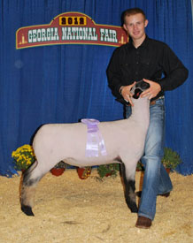 Cox Club Lambs & Livestock - Winner